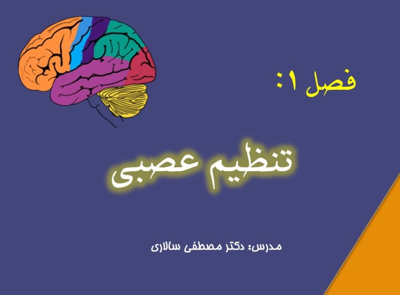 زیست شناسی یازدهم فصل اول تنظیم عصبی