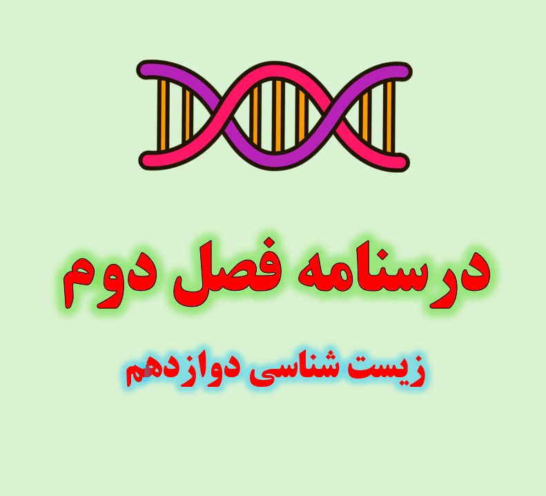 زیست شناسی دوازدهم درسنامه جامع فصل دوم فصل جریان اطلاعات در یاخته